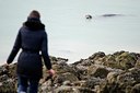 BUITEN BEELD Foto: 158506