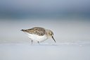 BUITEN BEELD Foto: 158557