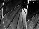 BUITEN BEELD Foto: 158563
