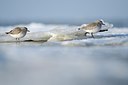 BUITEN BEELD Foto: 158571