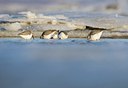 BUITEN BEELD Foto: 158581