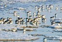 BUITEN BEELD Foto: 158595