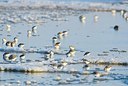BUITEN BEELD Foto: 158596