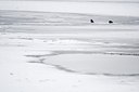 BUITEN BEELD Foto: 158665