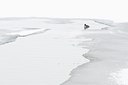 BUITEN BEELD Foto: 158667