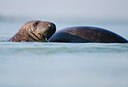 BUITEN BEELD Foto: 158673