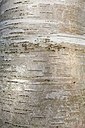 BUITEN BEELD Foto: 158709