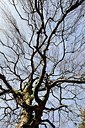 BUITEN BEELD Foto: 158728