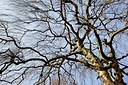 BUITEN BEELD Foto: 158729