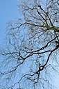 BUITEN BEELD Foto: 158736