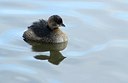 BUITEN BEELD Foto: 158827