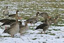 BUITEN BEELD Foto: 158850