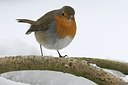 BUITEN BEELD Foto: 158923
