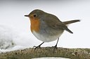 BUITEN BEELD Foto: 158924