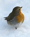 BUITEN BEELD Foto: 158926