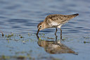 BUITEN BEELD Foto: 15051