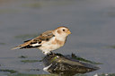 BUITEN BEELD Foto: 15057