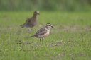 BUITEN BEELD Foto: 15063