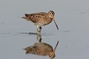 BUITEN BEELD Foto: 15102
