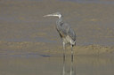 BUITEN BEELD Foto: 15155