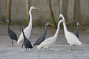 BUITEN BEELD Foto: 15159