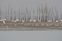 BUITEN BEELD Foto: 15161
