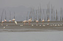 BUITEN BEELD Foto: 15162