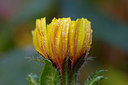 BUITEN BEELD Foto: 15277