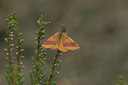 BUITEN BEELD Foto: 15389
