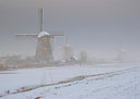 BUITEN BEELD Foto: 15403