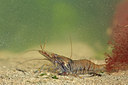 BUITEN BEELD Foto: 15409