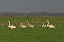 BUITEN BEELD Foto: 15431