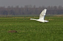 BUITEN BEELD Foto: 15433