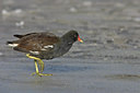 BUITEN BEELD Foto: 15453