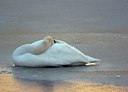 BUITEN BEELD Foto: 15670