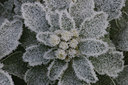 BUITEN BEELD Foto: 15721
