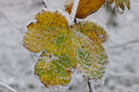BUITEN BEELD Foto: 15863