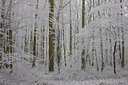 BUITEN BEELD Foto: 15873