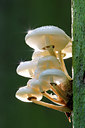 BUITEN BEELD Foto: 15930