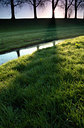 BUITEN BEELD Foto: 15942