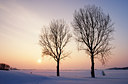 BUITEN BEELD Foto: 15968