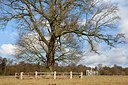 BUITEN BEELD Foto: 159022