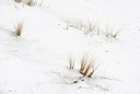 BUITEN BEELD Foto: 159138
