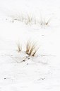 BUITEN BEELD Foto: 159139