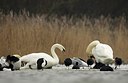 BUITEN BEELD Foto: 159176