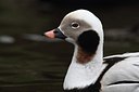 BUITEN BEELD Foto: 159282