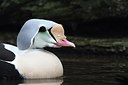 BUITEN BEELD Foto: 159291