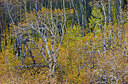 BUITEN BEELD Foto: 159311