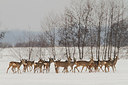 BUITEN BEELD Foto: 159356