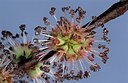 BUITEN BEELD Foto: 159401